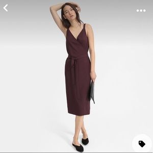 Everlane Japanese GoWeave Wrap Dress